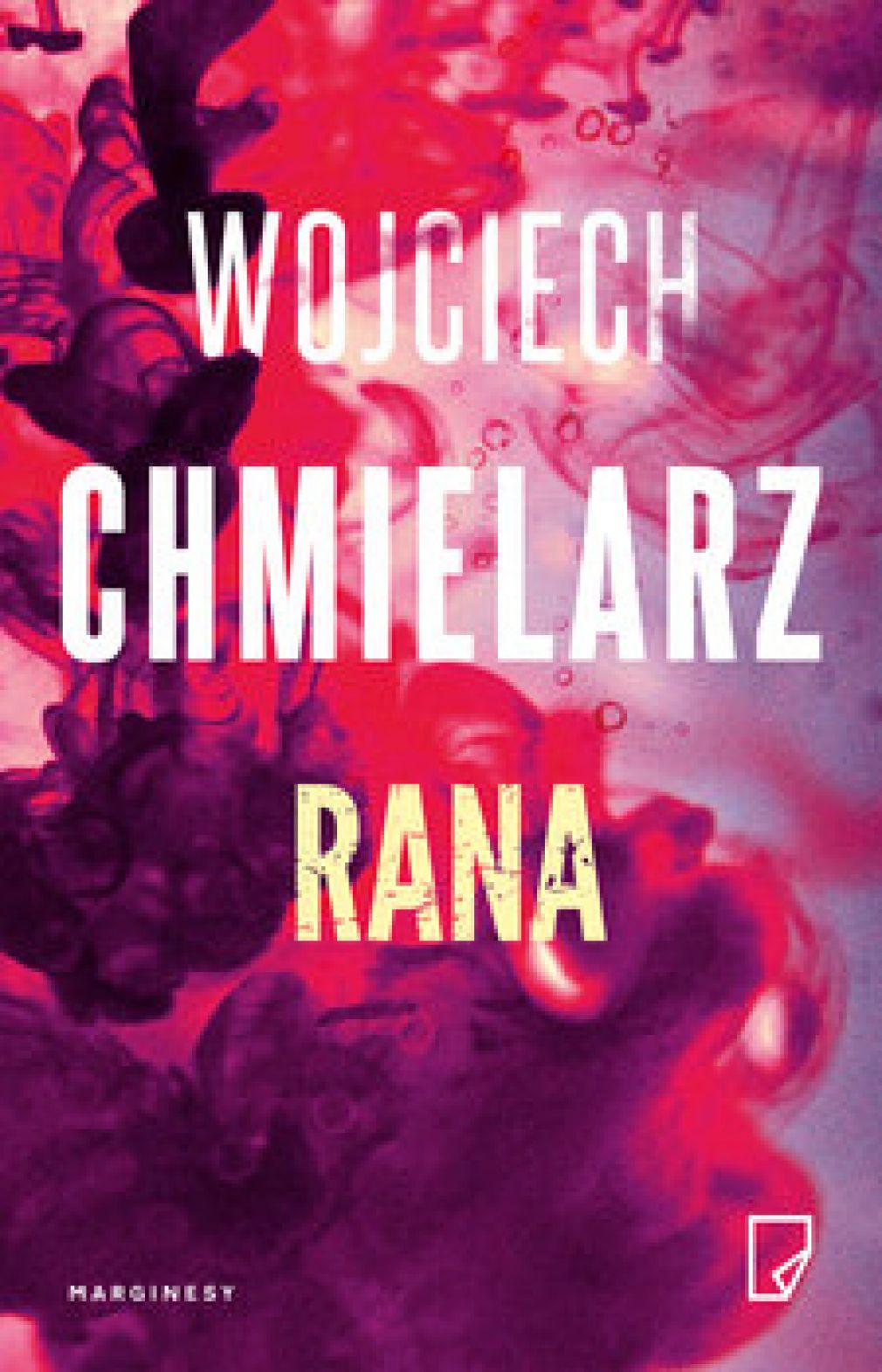 Wojciech Chmielarz